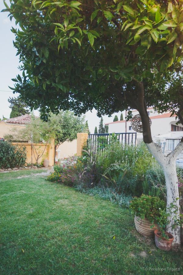 Small Guesthouse In The Garden Amarynthos Eksteriør bilde